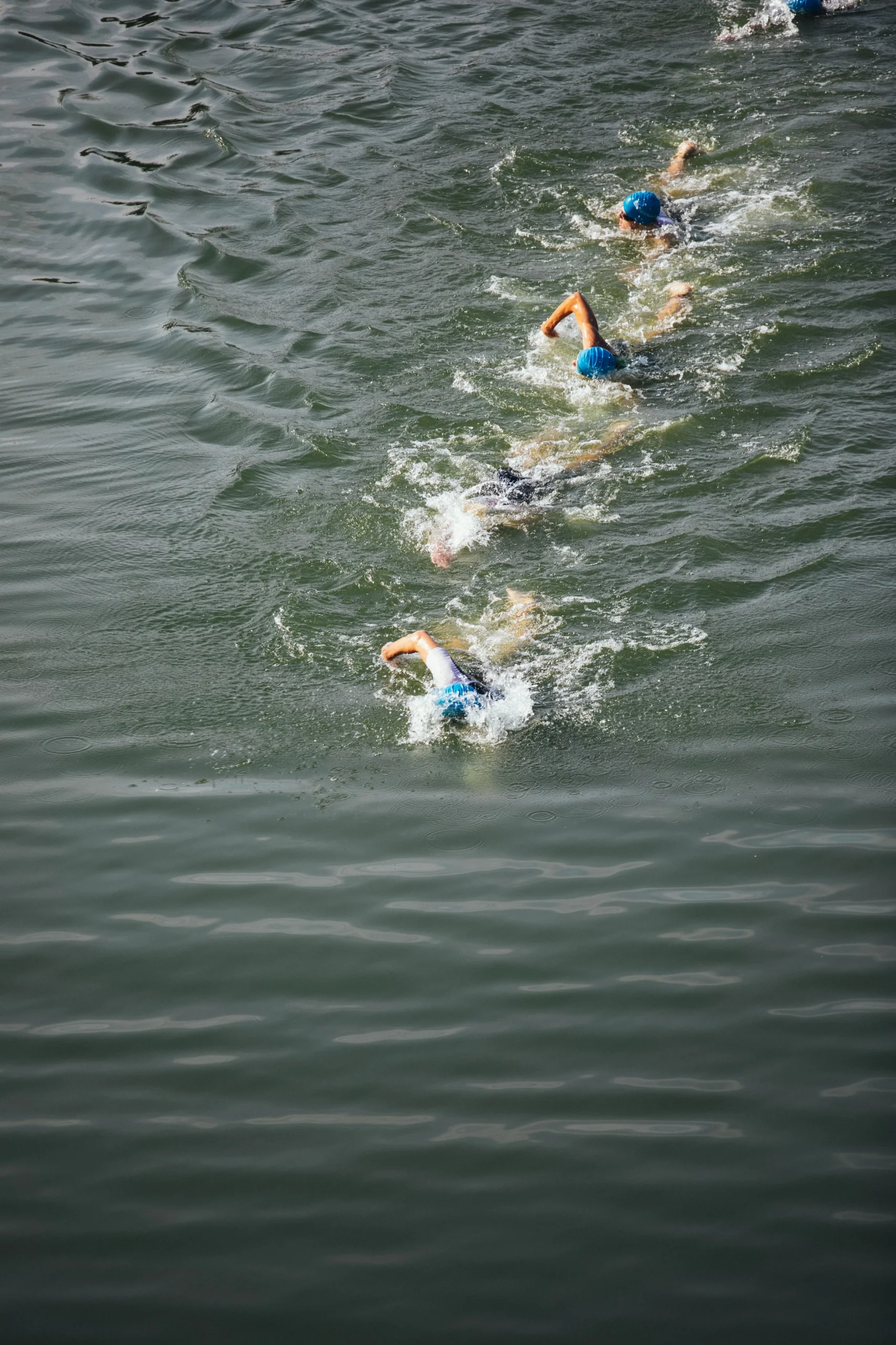 Triathletes swimming in a line during open water practice